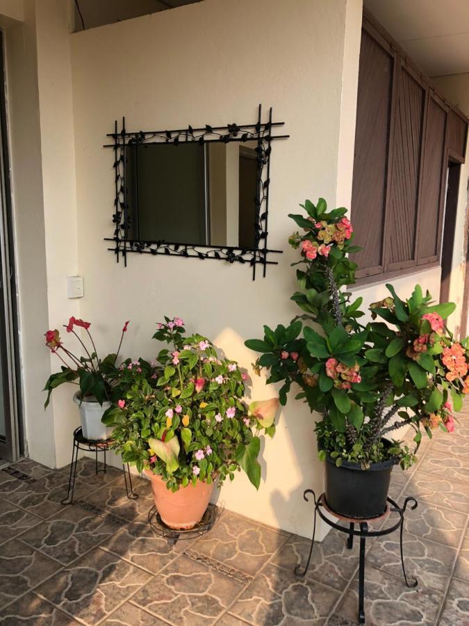 לוגנוויל Hotel Santo Vanuatu מראה חיצוני תמונה